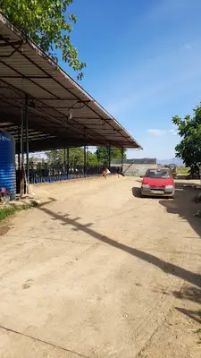 ÖZALP VETERİNERLİK VE HAYVANCILIK