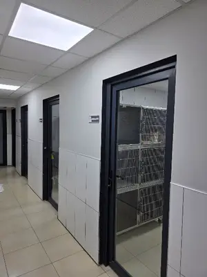 Borvet Veteriner Kliniği