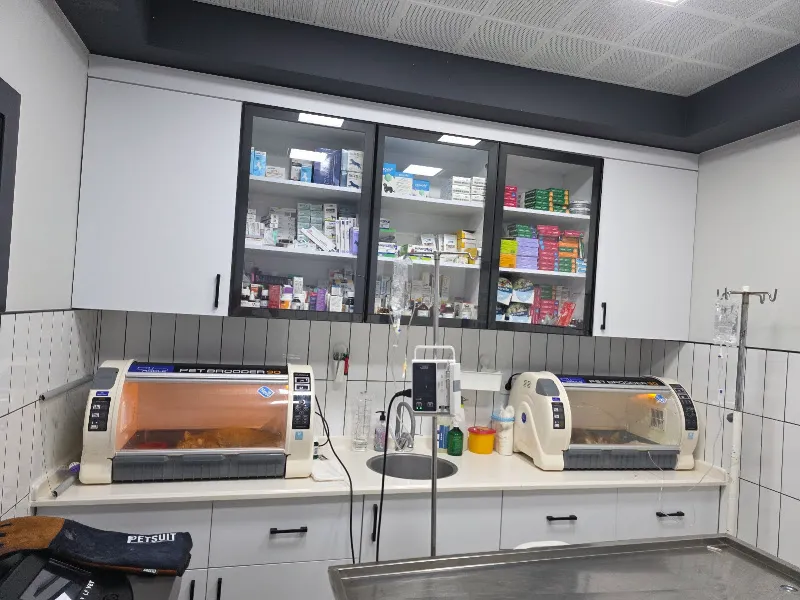 Borvet Veteriner Kliniği foto 2