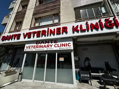 Dante Veteriner Kliniği