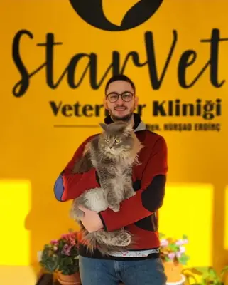 StarVet / Dikmen Veteriner Kliniği 7/24