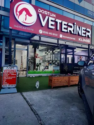 Sancaktepe Dostum Veteriner Kliniği 7/24