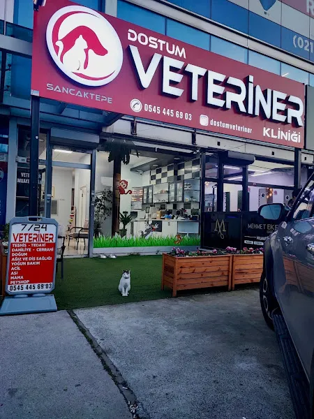 Sancaktepe Dostum Veteriner Kliniği 7/24 foto 1