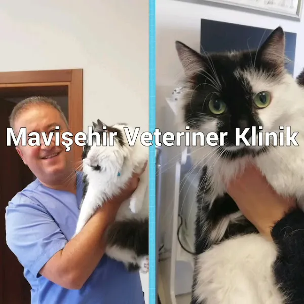 Mavişehir Veteriner foto 2