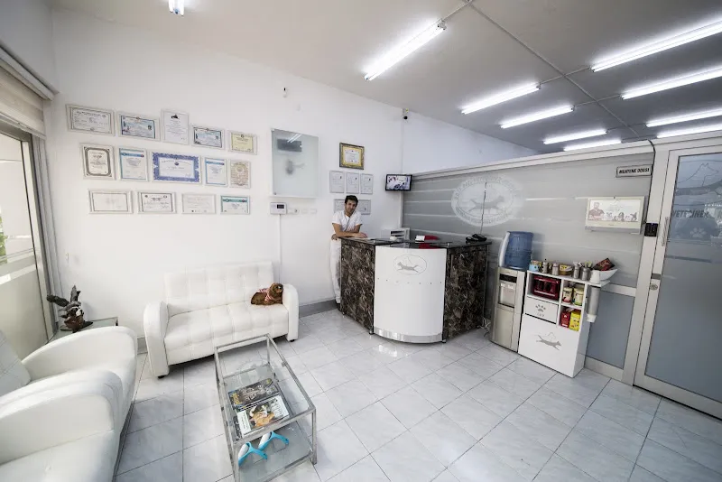 DOST PATİ VETERİNER TIP MERKEZİ foto 2