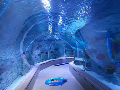 Emaar Square Aquarium World - Akvaryum