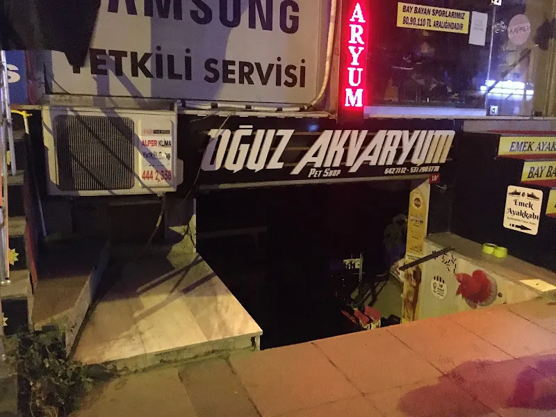 Oğuz Akvaryum & Pet Shop Çekmeköy foto 2