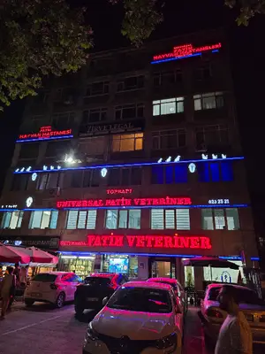 Universal Fatih Hayvan Hastanesi Avcılar