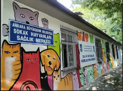 Kurtuluş Evcil Hayvanlar Sağlık Merkezi