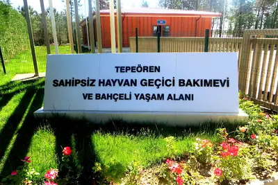Tepeören Sahipsiz Hayvan Geçici Bakımevi ve Yaşam Alanı