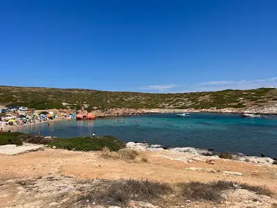 AKVARYUM KOYU