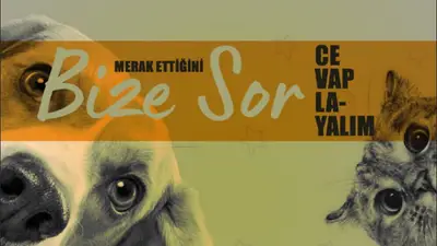 Atlas Veteriner Kliniği fotoğrafı