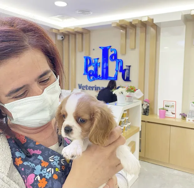 PETLAND VETERİNER KLİNİĞİ foto 2