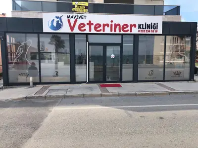 Mavivet Veteriner Kliniği fotoğrafı