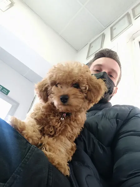 Mavivet Veteriner Kliniği foto 2