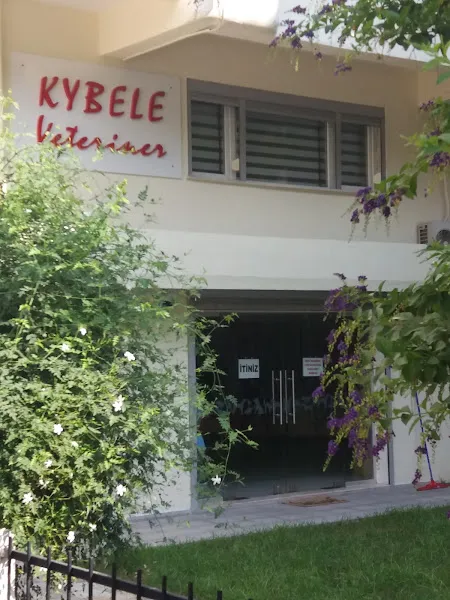 Kybele Veteriner foto 1