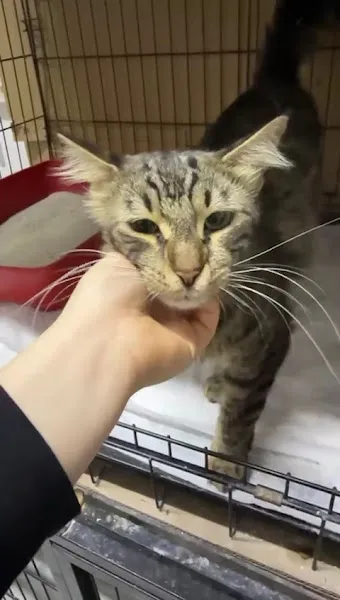 Özel Duru Veteriner Kliniği foto 2