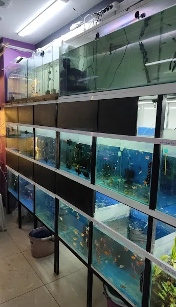 Aqupetya Pet Shop foto 2