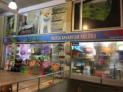 Bursa Akvaryum Kulübü