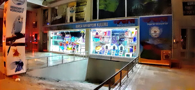 Bursa Akvaryum Kulübü foto 2