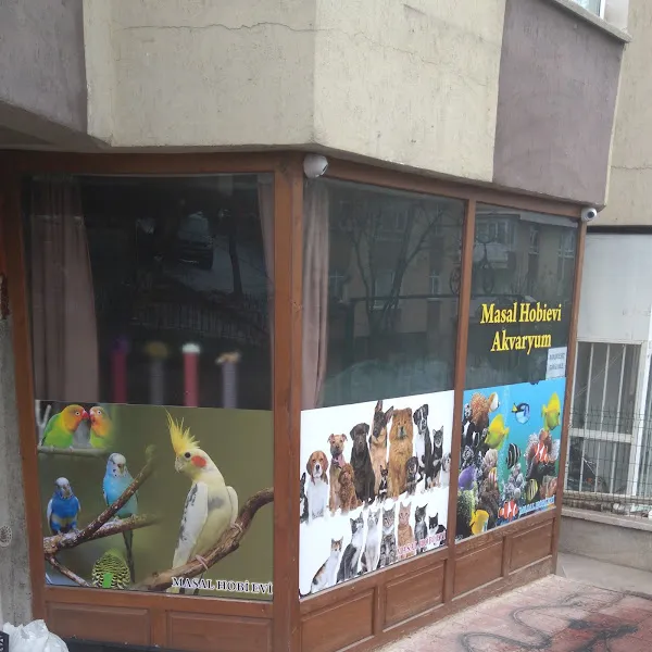 Masal HOBİ EVi - Petshop, Hediyelik Eşya, Takı ve Aksesuar foto 2