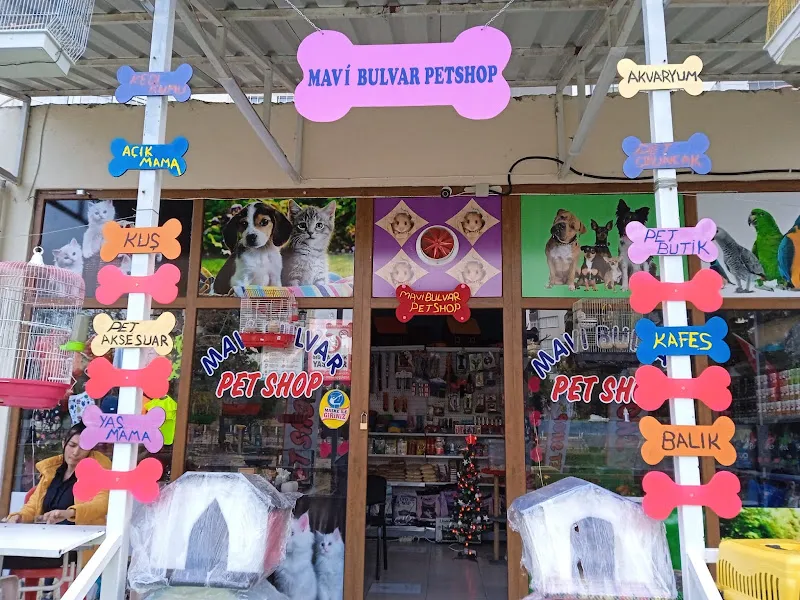Mavi bulvar petshop foto 1