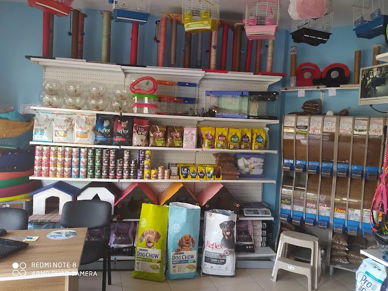 Mavi bulvar petshop foto 2