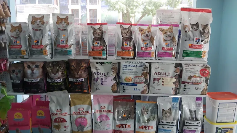 TMC Akvaryum foto 2