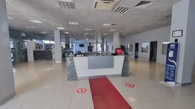 Petcode Hayvan Hastanesi