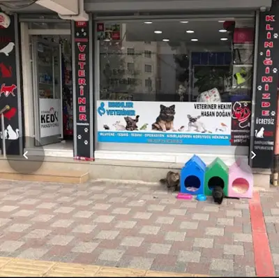 Esenler Veteriner Kliniği Acil Veteriner Hizmeti