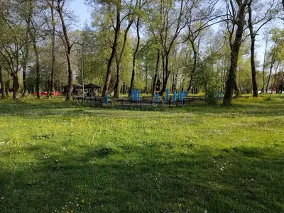 Çaycuma Kent Ormanı