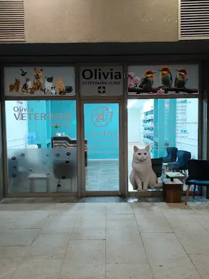 VETERİNER BAŞAKŞEHİR Olivia Veteriner Kliniği | 7/24 Nöbetçi Veteriner