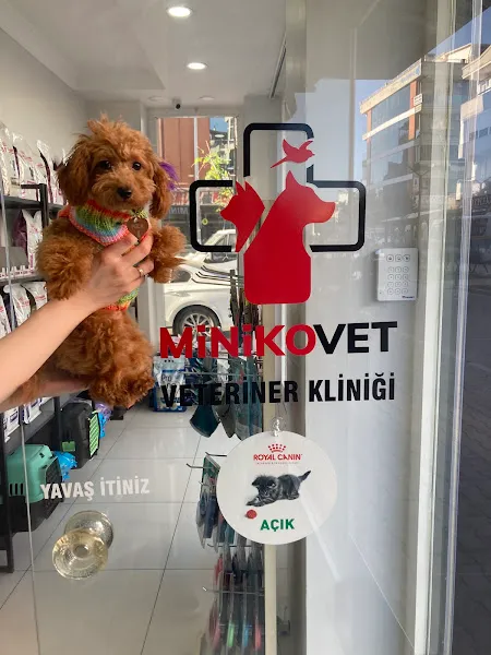Minikovet veteriner kliniği foto 1