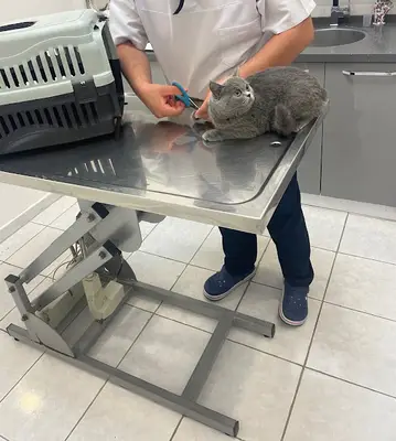 Pati Veteriner Kliniği