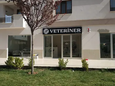 Vet20 Veteriner Kliniği