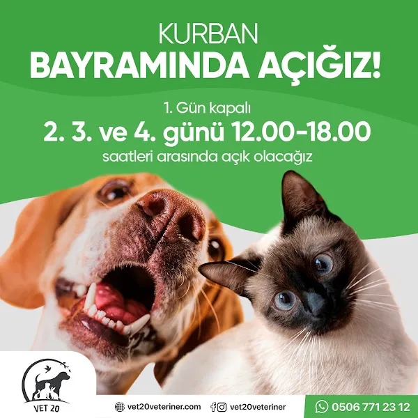 Vet20 Veteriner Kliniği foto 2