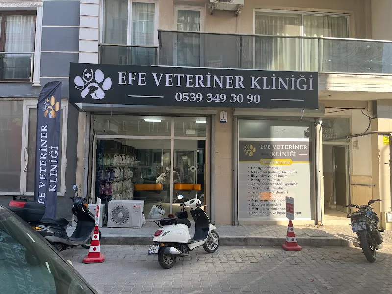 EFE VETERİNER KLİNİĞİ foto 2