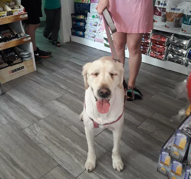 PET LİFE İZMİR VETERİNER KLİNİĞİ foto 2