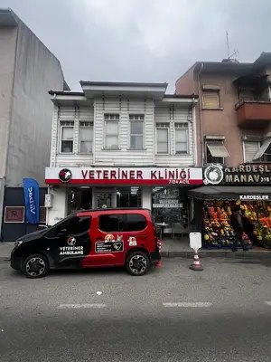 Yalıboyu Veteriner Kliniği - Üsküdar Beylerbeyi 24 Saat Açık Acil Nöbetçi Veteriner Kliniği - Çengelköy, Beykoz