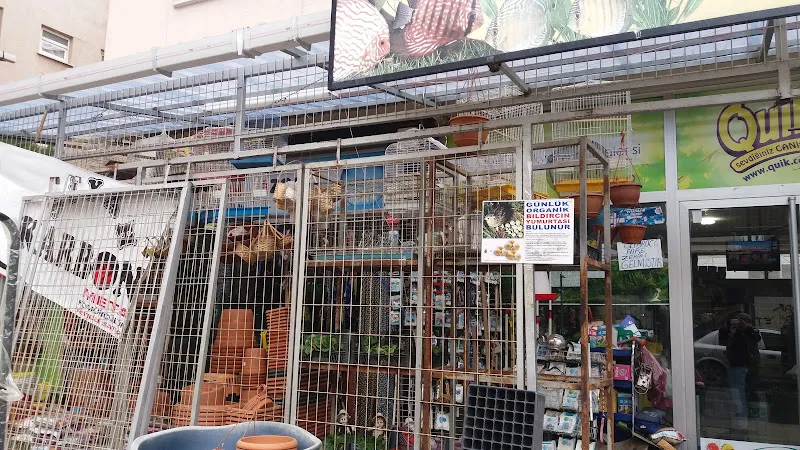 Palmiye petshop Kuş ve akvaryum Galerisi foto 1