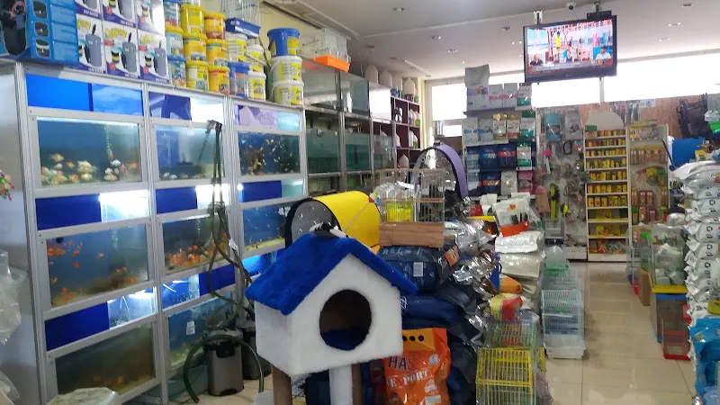 Palmiye petshop Kuş ve akvaryum Galerisi foto 2