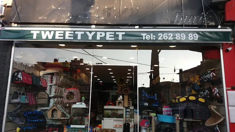 Tweety Pet foto 1
