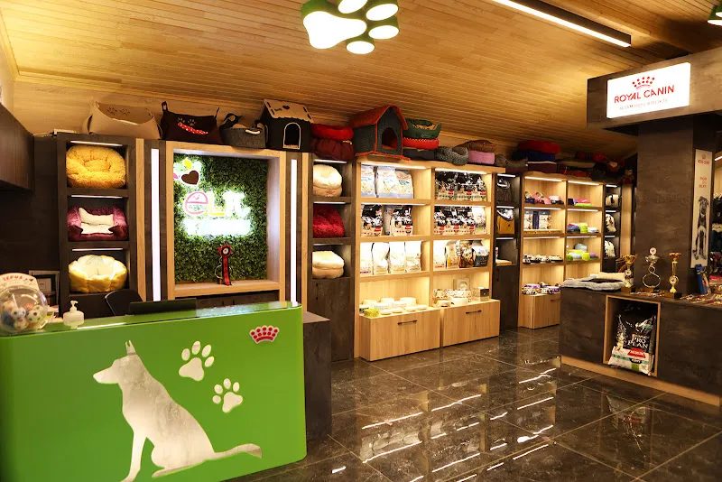 Elit Yavru - Petworld | Köpek Eğitimi | Köpek Oteli ve Pansiyonu foto 1
