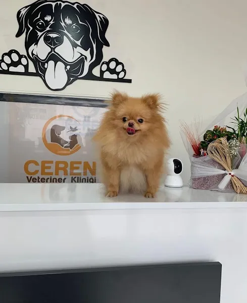 Ceren Veteriner Kliniği foto 2
