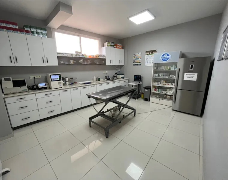 Gece Veteriner Kliniği foto 2