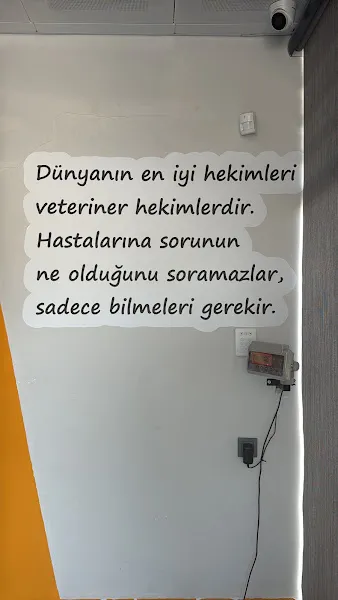 Sidevet Veteriner Kliniği foto 2