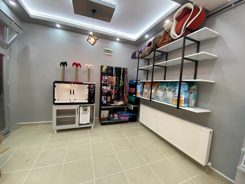 Nora Veteriner Kliniği foto 2