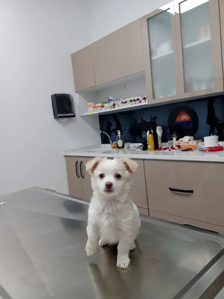 AKKONAK Veteriner Kliniği foto 2