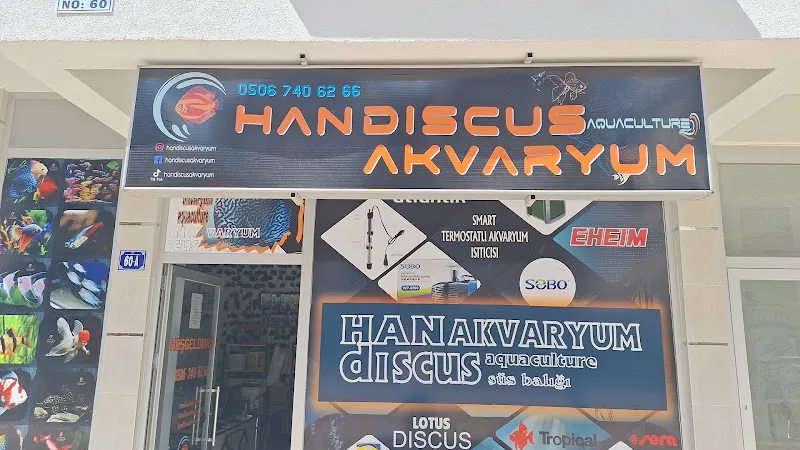 HANDİSCUS AKVARYUM foto 1
