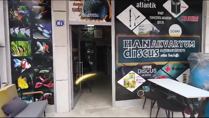 HANDİSCUS AKVARYUM foto 2